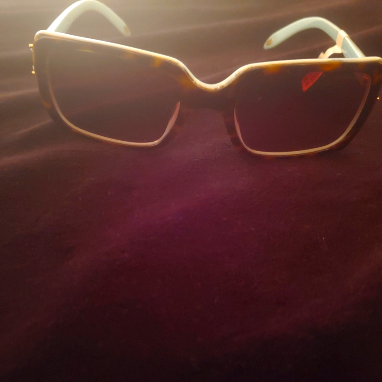 Brand New Tiffany  Company Sunglasses
